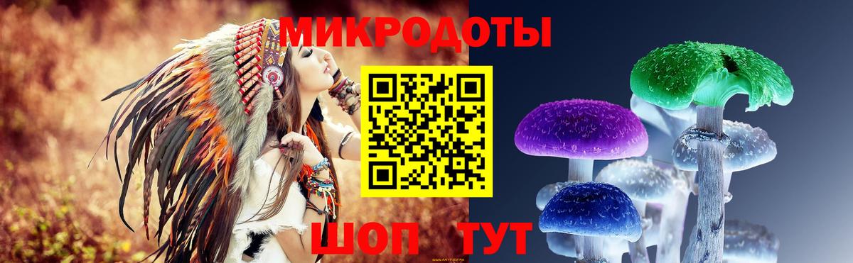 Галлюциногенные грибы GOLDEN TEACHER  Вход с VPN  Галлюциногенные грибы мухоморы  Коряжма 